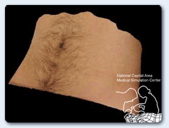 Texture map of human abdomen