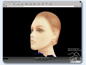 Texture map of human head